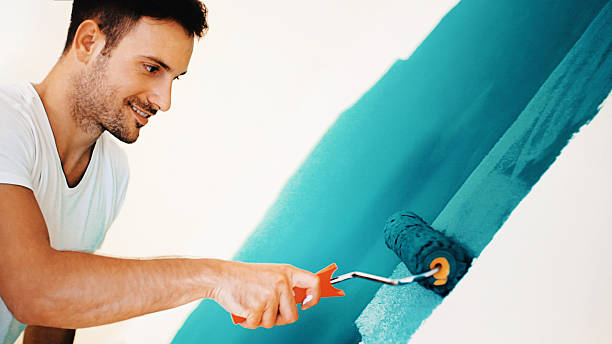 Best Basement Mold Removal  in Laware City, DE